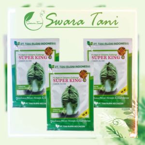 Benih sawi putih SUPER KING F1 10 gram chinese cabbage hibrida superking tani murni