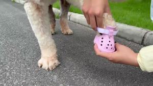 Dog Shoes Reflective Non-Slip Traction Shock Absorbing Breathable Hook & Loop for Medium Large Dogs