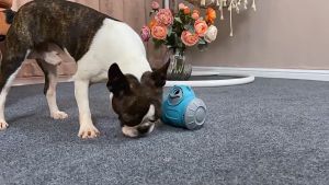 Smart mainan interaktif kucing anjing bentuk roda putar otomatis pet cat dog toy Beruang yang tidak akan jatuh