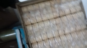 BÁNH ĐẬU XANH QUẢNG NGÃI (36 cái bánh nhỏ)