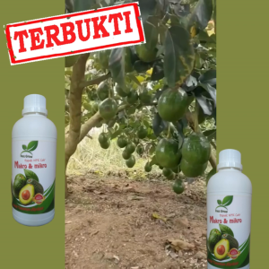 Pupuk Cair Majemuk 500 ml Booster Alpukat Cepat Berbuah | Penyubur dan Pelebat Buah Anti Rontok
