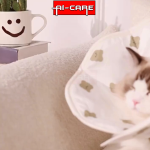 Cat Collar Dog Collar Pet Collar Adjustable Pet Neck Strap Anti Scratching Kollar Kucing Surgery Cushion Rantai Kucing