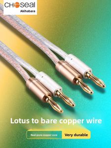 Choseal | High-End Audio Cable Pure Copper Speaker Wire Banana Plug