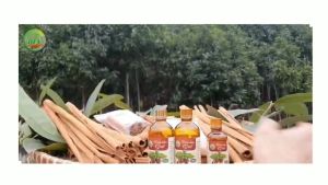 Tinh dầu Quế Tinh dầu quế nguyên chất (THẬT như ẢNH và VIDEO)