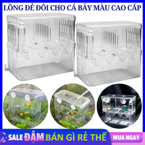 Lồng Sinh Sản Cho Cá Cảnh Cá Guppy Nhỏ Gọn - Lồng Ấp Và Tách Dưỡng Cá Bệnh Tiện Lợi - Bể Nhựa Mini Cho Cá Đẻ Trứng Nhỏ Gọn Dễ Sử Dụng