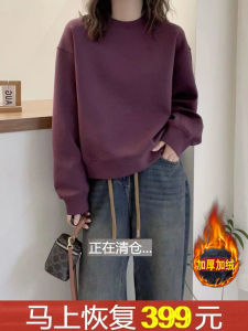 Export Italy Original Export Cut Label Fashion Casual Velvet Padded Thickened Top Female Autumn and Winter Loose K-style Sweatshirt