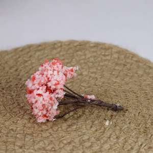 Transparent Acrylic Dustproof Storage Box for Blind Box Scene Props Trendy Toys Glass Cover Display Case for Collectibles