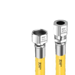 New National Standard Stainless Steel Explosion-Proof Gas Pipe Natural Gas Pipe Liquidized Petroleum Gas Cooking Stove Metal Flexible Hose