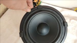 Củ loa bass 20 gân cao su công suất 20w côn 31 hàng chuẩn màng sâu - nhún tốt - giá 1 cặp