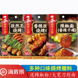 Spicy Cumin Barbecue Seasoning 40g Hot Pepper Powder Korean Style BBQ Sauce Home Use Cooking Ingredient from Taizhou Jiangsu