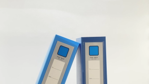 Printleaf File Folder Box A4 Size Paper Organizer Document Organizer File Paper Storage