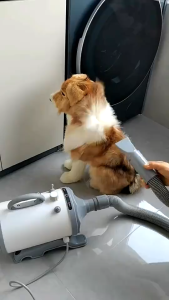 6500W ไดร์เป่าขนหมา&เครื่องดูดฝุ่น ไดร์ขนหมา เสียงเบา เครื่องเป่าขน ไดร์ไล่น้ำ ไดร์เป่าขนสัตว์ ไดร์สุนัข pet hair dryer