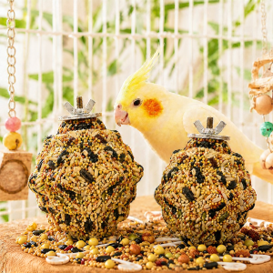 Yee | Chewable Bird Treat Toy Nutritious Wonder
