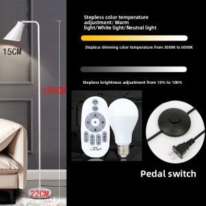 Nordic Modern Simple Living Room Floor Lamp Study Sofa Piano Reading Bedroom Bedside Fishing Stand Lamp Iron Body LED Light