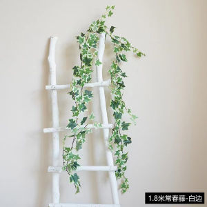 Trang Trí Tường Mẫu Giáo Hệ Thống Rừng Tự Nhiên Bàn Phong Cách Giả Rễ Lá Xanh Trang Trí Lớp Học Vật Liệu Trang Trí Môi Trường