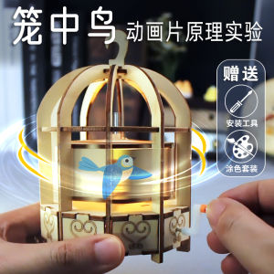 Visual Persistence Experiment Bird in Cage Creative Handmade Science Kit for Primary School Students DIY Technology Crafts
