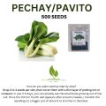 PECHAY SEEDS / PAVITO VARIETY - 500pcs Seeds. 