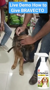 🐱อัปเกรดสูตรแรง ไล่แมลงใน 1 วินาที🐕KiMi&BS ยาฆ่าเห็บหมัด กำจัดเห็บและหมัด ยาฉีดเห็บหมัด สเปรย์กำจัดเห็บหมา สเปรย์ป้องกันเห็บ กำจัดเห็บหมัดหมา สเปรย์ฆ่าเห็บหมัด เห็บหมัดสุนัข 500ml สเปรย์ฉีดสำหรับสุนัขและแมว ป้องกันเ