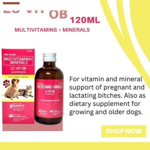 120ml LC Vit Multivitamins Syrup Vitamins Supplements Dog Accessories For Pets Dogs Cats
