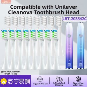 Signal Jeno Electric Toothbrush Head Replacement LBT-203542C Suitable for Oral Care And Gum Health Normal Specification