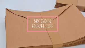 PrintYourStyle 50pcs Brown Envelope for School and Office Use Short/Long Size