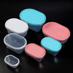 Plastic Takeaway Large Capacity Packaging Box