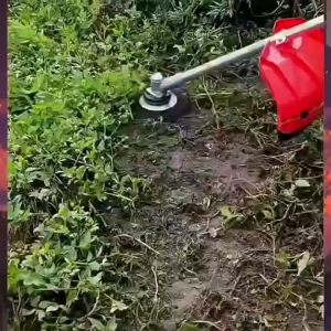 แปรงลวดถ้วยตัดหญ้า หัวขัดพื้น  ***6 นิ้ว/8 นิ้ว***  หัวแปรงลวด แปรงขัดพื้น ใบขัดพื้นหญ้า สำหรับใส่เครื่องตัดหญ้า หัวแปรงลวด สำหรับขัดพื้น  200มิลลิเมตร