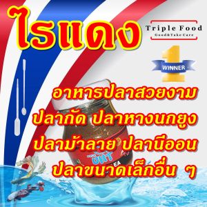 ไรแดง อาหารปลา UHT อาหารลูกปลา ปลากัด ปลาหางนกยูง ปลาสวยงาม ไรแดงสด ไลแดง ยังมี อาร์ทีเมีย ลูกน้ำ ไรนางฟ้า ไข่ไรนางฟ้า ใบหูกวาง ด่างทับทิม