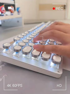 SG [In Stock] EWEADN TK100 Typewriter Keyboard Wired Mechanical Keyboard 104 Keys Removable