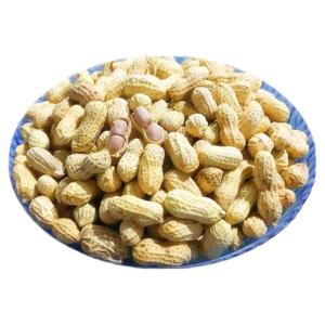 GULIGUXIN | Five Spice Crispy Garlic Flavor Roasted Peanuts with Shell