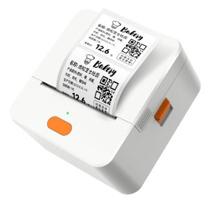 DTPrinter | Thermal Bluetooth Handheld Label Printer for Food Ingredients Material Identification QR Code Multi-Function Fixed Asset Labeling