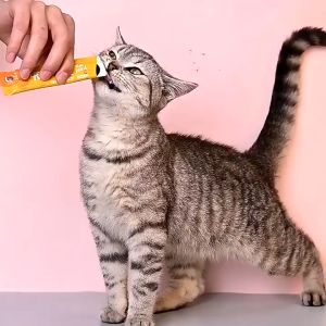 Cat Treats Buy 1 Ship 2 Cat Food Cat Snacks Cat Treat Cat Wet Food Kitten Treats For Cats Nutrition