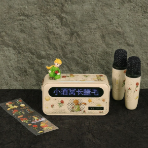 Panpuri | Home KTV Bluetooth Karaoke Microphone All-in-one