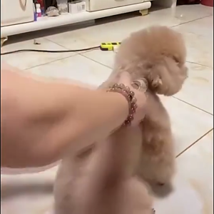 USB Rechargeable Hair Shaver Cutter Wireless Electric Hair Trimmer Hair Professional Hair Clipper Mens Barber Beard Trimmer Professional Hair Trimmer Digital 男士电动理发器