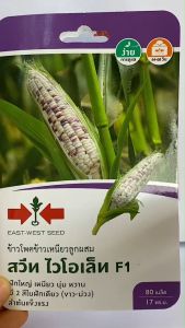 ศรแดง ข้าวโพด สวีทไวโอเล็ท จำนวน 80 เมล็ด/ซอง  หมดอายุ 17/12/2569 ลอตใหม่ งอกดี ฝักใหญ่ เหนียว นุ่ม หวาน มี 2 สีในฝักเดียว ขาว ม่วง อายุเก็บ 64-68 วัน