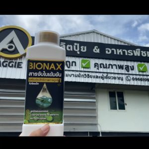 Bionax สารจับใบเร่งการดูดซึม สารเสริมประสิทธิภาพการดูดซึม สูตรเข้มข้น ( 2 ลิตร )