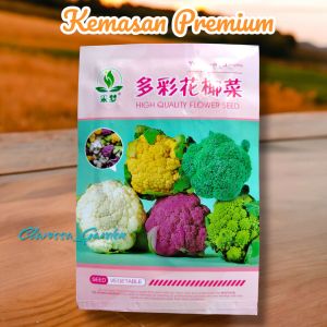 (KEMASAN PREMIUM) BIJI/BENIH BROKOLI MIX WARNA ( isi -+ 100 butir)