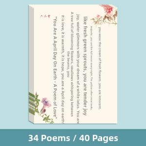 ZOUMUBAI | General Hard Pen Calligraphy Practice Book For Students And Adults Red Copying Ancient Poetry Heartfelt Essays