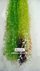 Bunga Daun Hoya Costa Hanging Leaf Bunga Plastik Bunga Palsu Dekorasi Artificial Rambat Urai Gantung