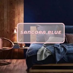 SINAR SANCORA I WEATHER 5 LITER EXTERIOR WALL PAINT CALMING BLUE / CAT DINDING LUAR RUMAH BIRU
