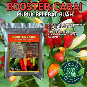 PUPUK BOOSTER CABAI Stella green pupuk pelebat buah cabai anti rontok termurah bisa cod kemasan 250 gram