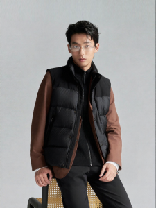 Business Leisure Stand Collar Duck Down Vest