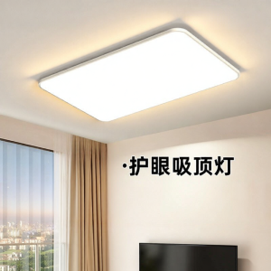 MOLISAI | Modern Minimalist Thin Ceiling Light for Living Room