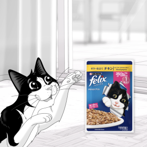 Nestle Purina FELIX Chicken & Tuna Assorted Kitten Cat Wet Food (85g x12)