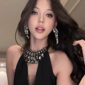 Fashionable Silver Crystal Petal Tassel Earrings Womens Niche Design High-End Feelings Ear Jewelry Vintage Earring