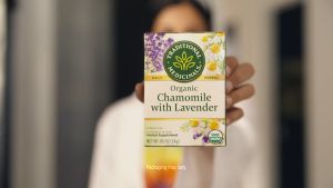 Traditional Medicinals Tea Bags - Spearmint / Mothers Milk / chamomile & lavender / throat coat / peppermint / night