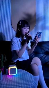 Karaoke Bluetooth Speaker Mini Portable Speaker with MIC Full BassWireless ktv Cute Wireless Lucu Portabel Luar Ruangan Speaker Nirkabel