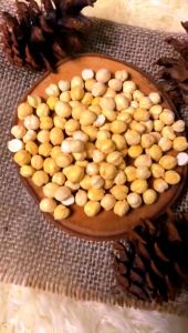 kacang arab al-madina