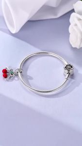 Chất Liệu Bạc 925 Nguyên Bản Trái Cây Quả Anh Đào Bơ Chủ Đề Mặt Dây Chuyền Hạt Charm Cho 3 Mm Vòng Tay Nữ Tự Làm Mỹ Món Quà Trang Sức
