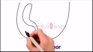 Máy Kích Thích Cơ Sàn Chậu TENS Dành Cho Nữ Dụng Cụ Tập Kegel Máy Tập Âm Đạo Giúp Điều Trị Tiểu Không Tự Chủ Và Tăng Cường Cảm Giác Thân Mật Phục Hồi Sau Sinh